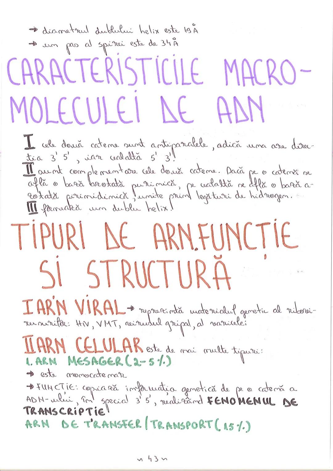 # SEGMENTELE CORPULUI
# UMAN
I CAP - alcătuit din → NEUROCRANIU
→ VISCEROCRANIU
II GÂT
III TRUNCHI format din → TORACE sunt separate de
→ AB