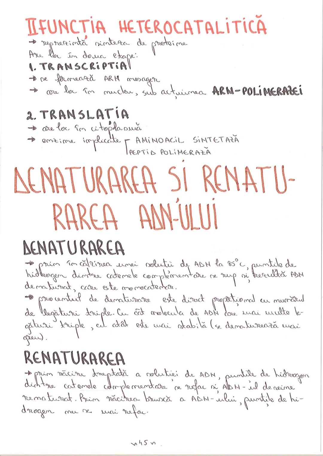 # SEGMENTELE CORPULUI
# UMAN
I CAP - alcătuit din → NEUROCRANIU
→ VISCEROCRANIU
II GÂT
III TRUNCHI format din → TORACE sunt separate de
→ AB