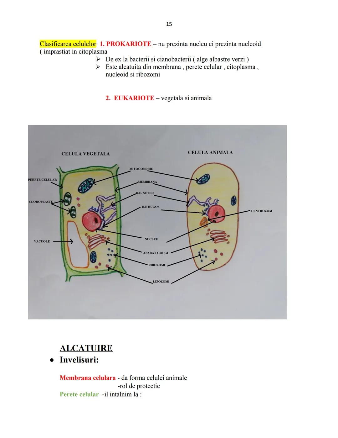 # Biologie animala si vegetala
2022
Conform programei nr.3237/05.02.2021 1
Cuprins
Biologie animala si vegetala
Continuturi clasa a IX-a