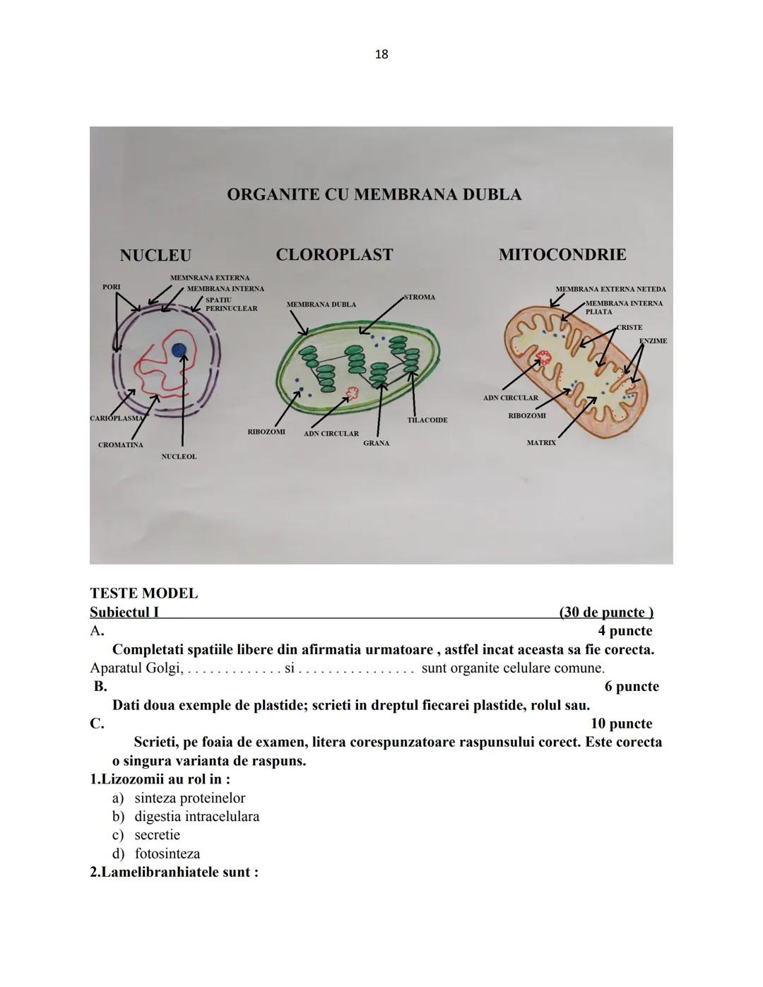 # Biologie animala si vegetala
2022
Conform programei nr.3237/05.02.2021 1
Cuprins
Biologie animala si vegetala
Continuturi clasa a IX-a