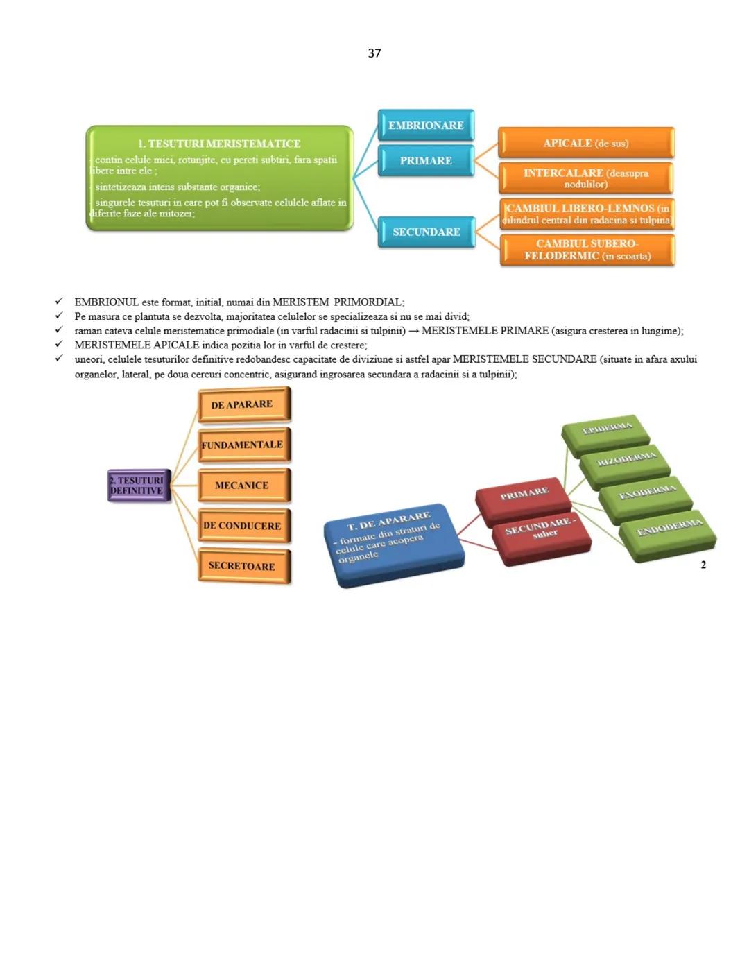 # Biologie animala si vegetala
2022
Conform programei nr.3237/05.02.2021 1
Cuprins
Biologie animala si vegetala
Continuturi clasa a IX-a