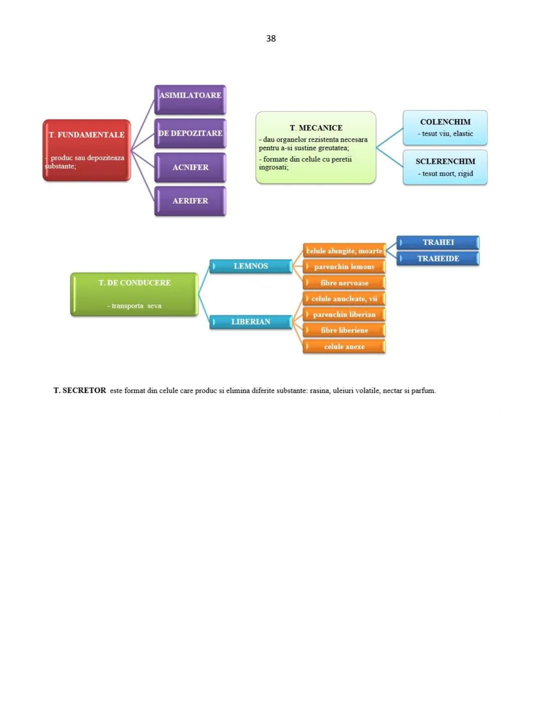 # Biologie animala si vegetala
2022
Conform programei nr.3237/05.02.2021 1
Cuprins
Biologie animala si vegetala
Continuturi clasa a IX-a