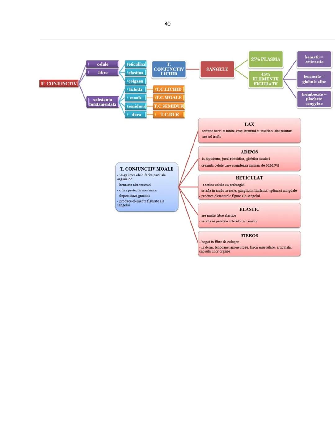 # Biologie animala si vegetala
2022
Conform programei nr.3237/05.02.2021 1
Cuprins
Biologie animala si vegetala
Continuturi clasa a IX-a