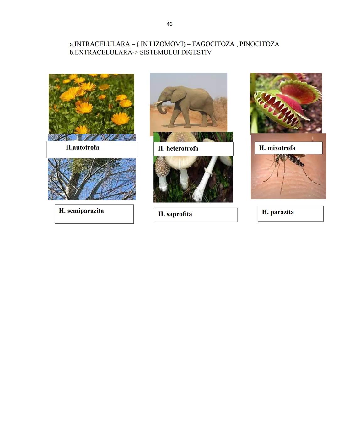 # Biologie animala si vegetala
2022
Conform programei nr.3237/05.02.2021 1
Cuprins
Biologie animala si vegetala
Continuturi clasa a IX-a