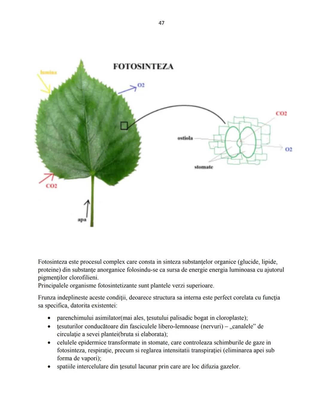 # Biologie animala si vegetala
2022
Conform programei nr.3237/05.02.2021 1
Cuprins
Biologie animala si vegetala
Continuturi clasa a IX-a