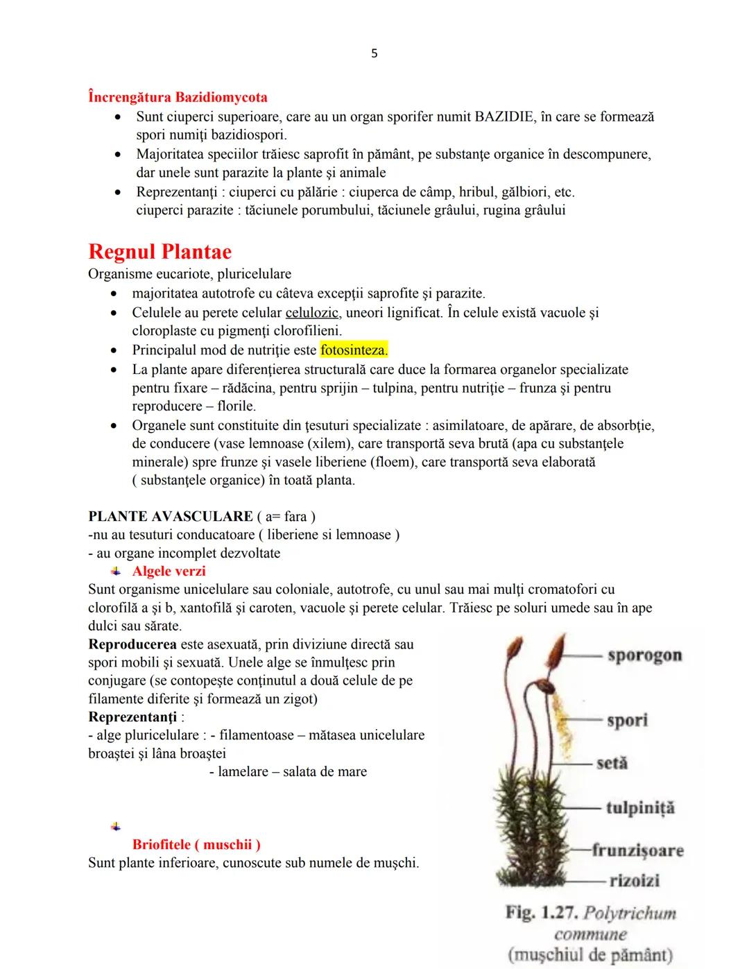 # Biologie animala si vegetala
2022
Conform programei nr.3237/05.02.2021 1
Cuprins
Biologie animala si vegetala
Continuturi clasa a IX-a
