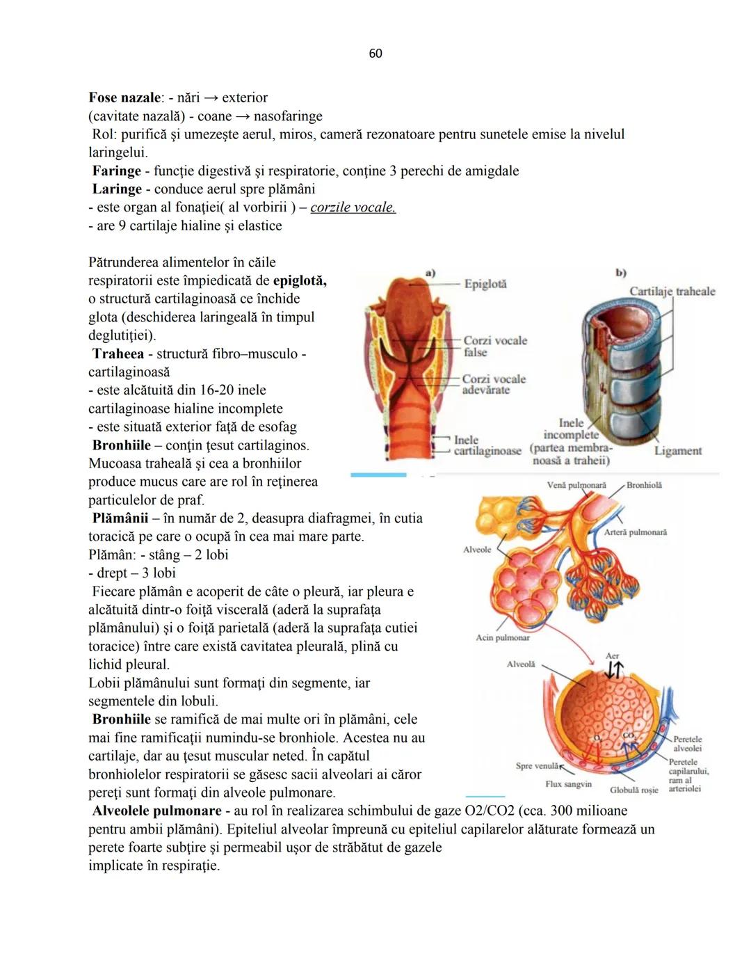 # Biologie animala si vegetala
2022
Conform programei nr.3237/05.02.2021 1
Cuprins
Biologie animala si vegetala
Continuturi clasa a IX-a