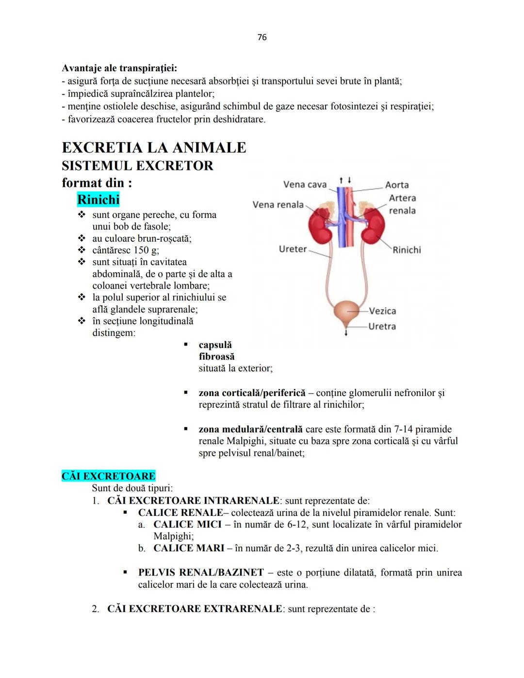 # Biologie animala si vegetala
2022
Conform programei nr.3237/05.02.2021 1
Cuprins
Biologie animala si vegetala
Continuturi clasa a IX-a