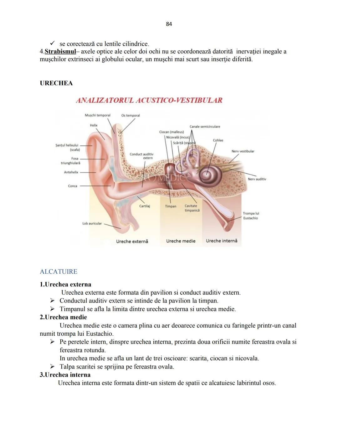 # Biologie animala si vegetala
2022
Conform programei nr.3237/05.02.2021 1
Cuprins
Biologie animala si vegetala
Continuturi clasa a IX-a