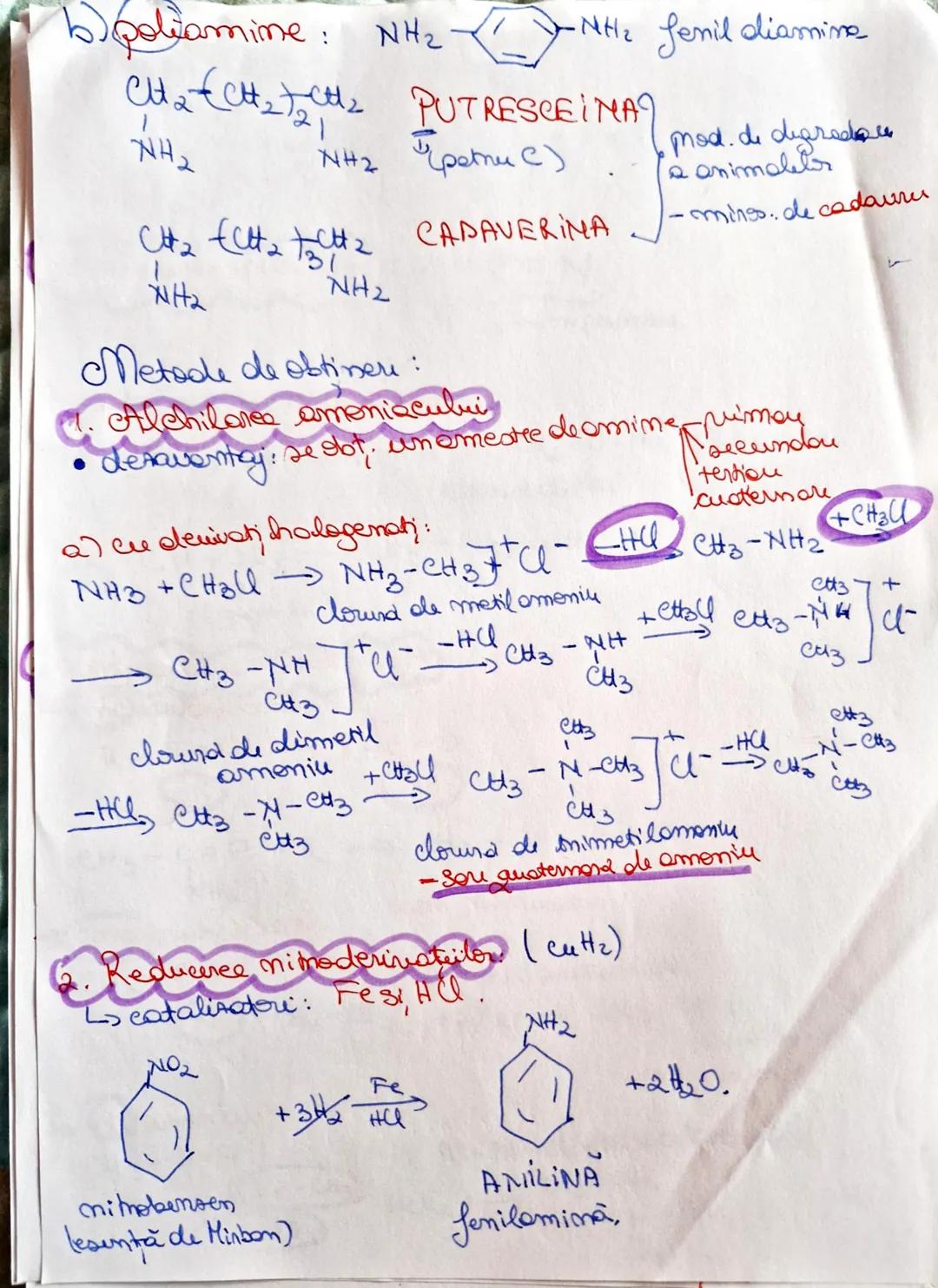 # Aminele
N: 5e 1s²2s²2p³
L-au caracter Bazic
(primeste din acid 1p+)
$H^+ - N^+ - H$
$H$
Legătură coordinativă
(covalentă)
Critice Subs