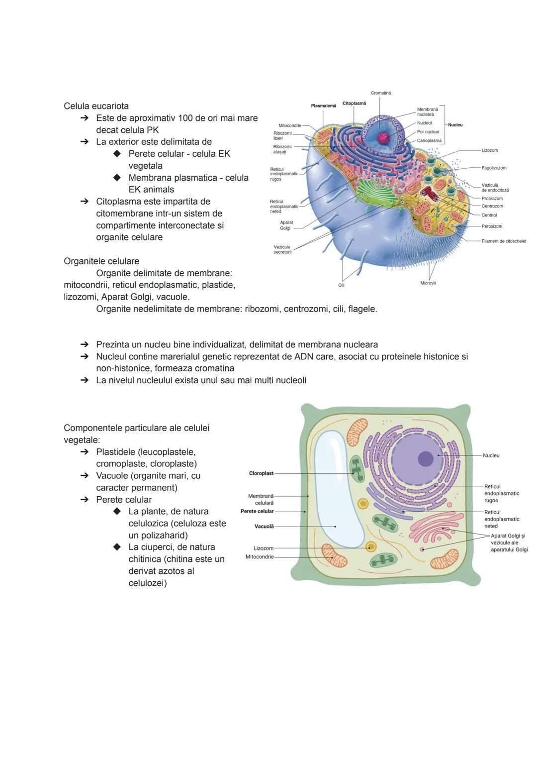 --- OCR Start ---
Citologia = ştiinţa care studiază celulele
Celula = unitatea morfo-functionala și genetică a tuturor organismelor vii
Apop