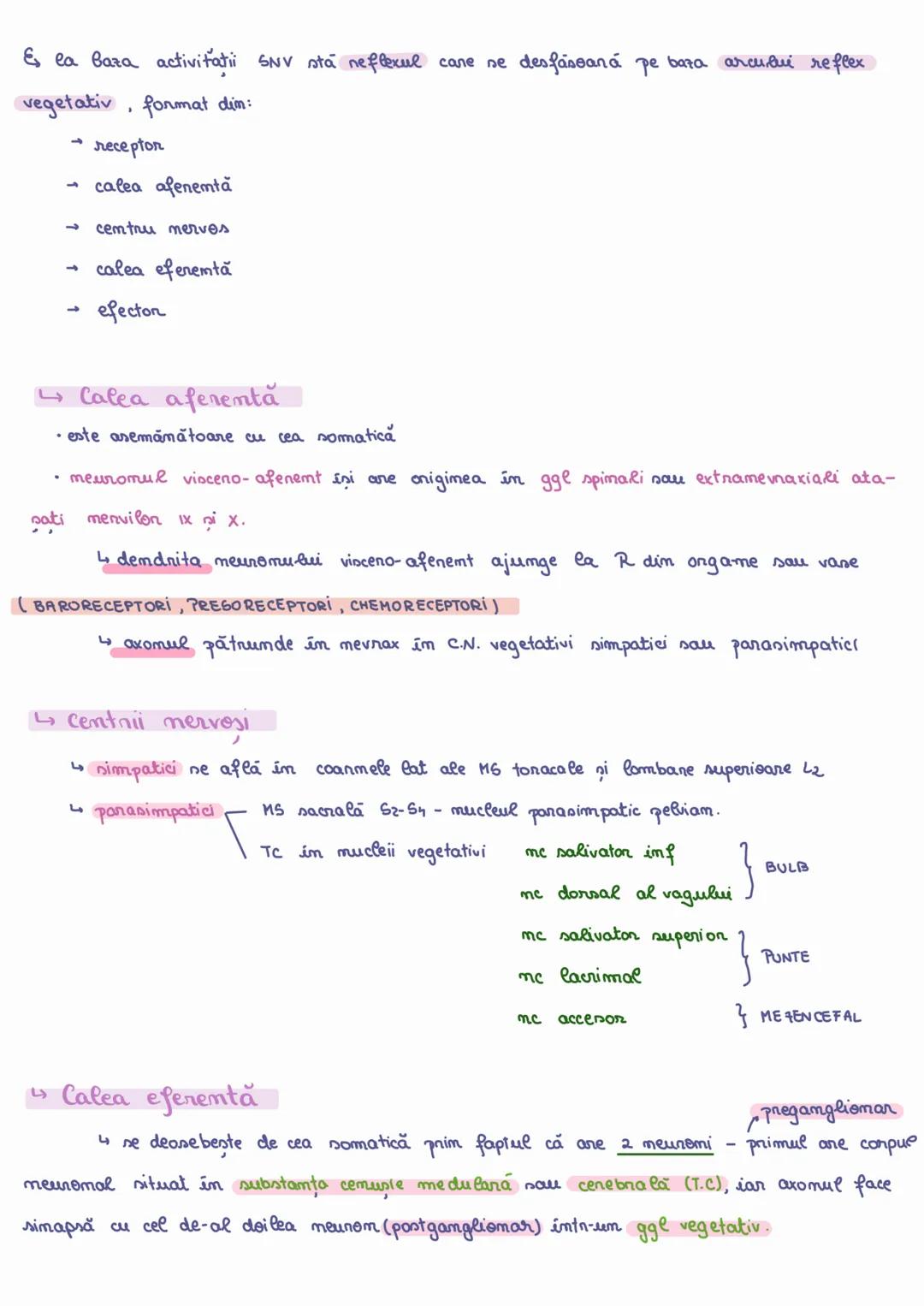 # SISTEMUL NERVOS
VEGETATIV
§ reglează activitatea organelor interne
§ este format din CN intranevraxială și extranevraxială, aflate în rel