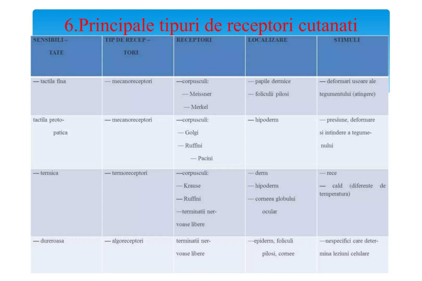 # Analizatorul cutanat Cuprins
* 1.Rol
* 2.Segmentul periferic
* 3.Segmentul de conducere
* 4.Segmentul central
* 5.Functiile pielii
* 6.Pri