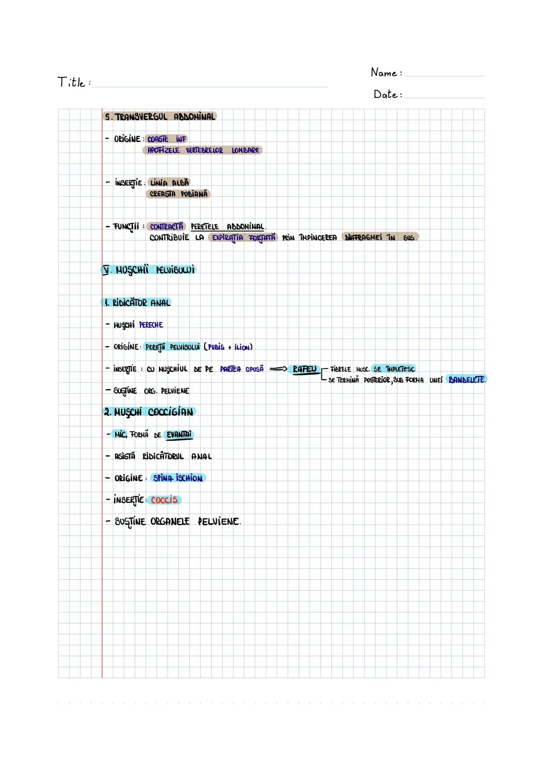 --- OCR Start ---
SISTEMUL MUSCULAR
MUSCHI UMAR
1. MUSCHIUL DINTAT ANTERIOR
- MUSCHI LAT, ZIMTAT.
- SITUAT ÎN PARTEA LATERALĂ A TORACEWI
- O