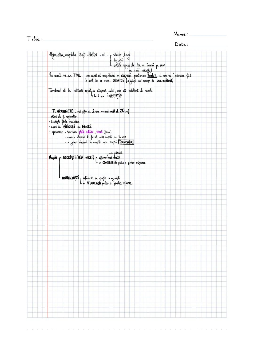 --- OCR Start ---
SISTEMUL MUSCULAR
MUSCHI UMAR
1. MUSCHIUL DINTAT ANTERIOR
- MUSCHI LAT, ZIMTAT.
- SITUAT ÎN PARTEA LATERALĂ A TORACEWI
- O