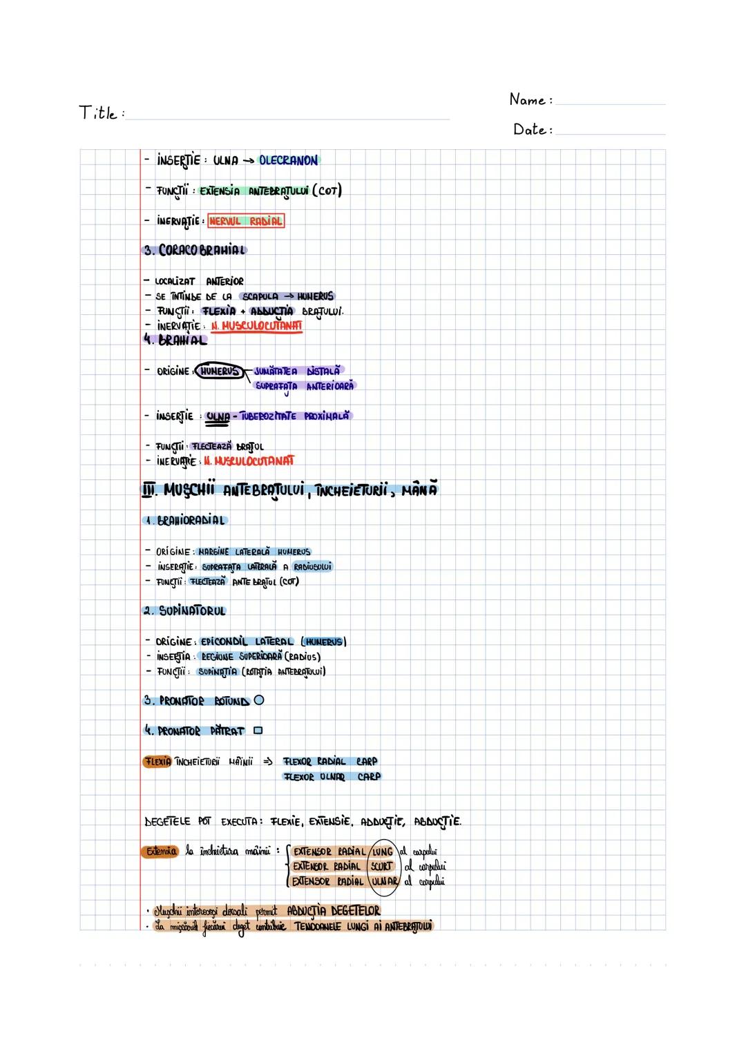 --- OCR Start ---
SISTEMUL MUSCULAR
MUSCHI UMAR
1. MUSCHIUL DINTAT ANTERIOR
- MUSCHI LAT, ZIMTAT.
- SITUAT ÎN PARTEA LATERALĂ A TORACEWI
- O