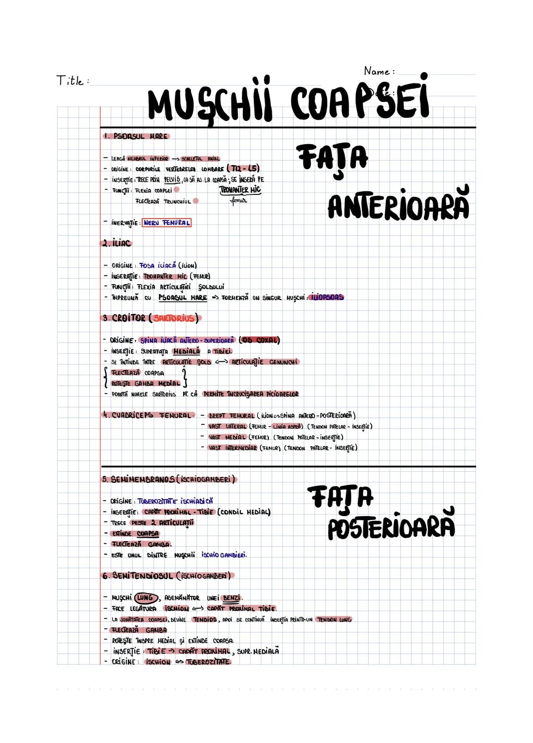 --- OCR Start ---
SISTEMUL MUSCULAR
MUSCHI UMAR
1. MUSCHIUL DINTAT ANTERIOR
- MUSCHI LAT, ZIMTAT.
- SITUAT ÎN PARTEA LATERALĂ A TORACEWI
- O