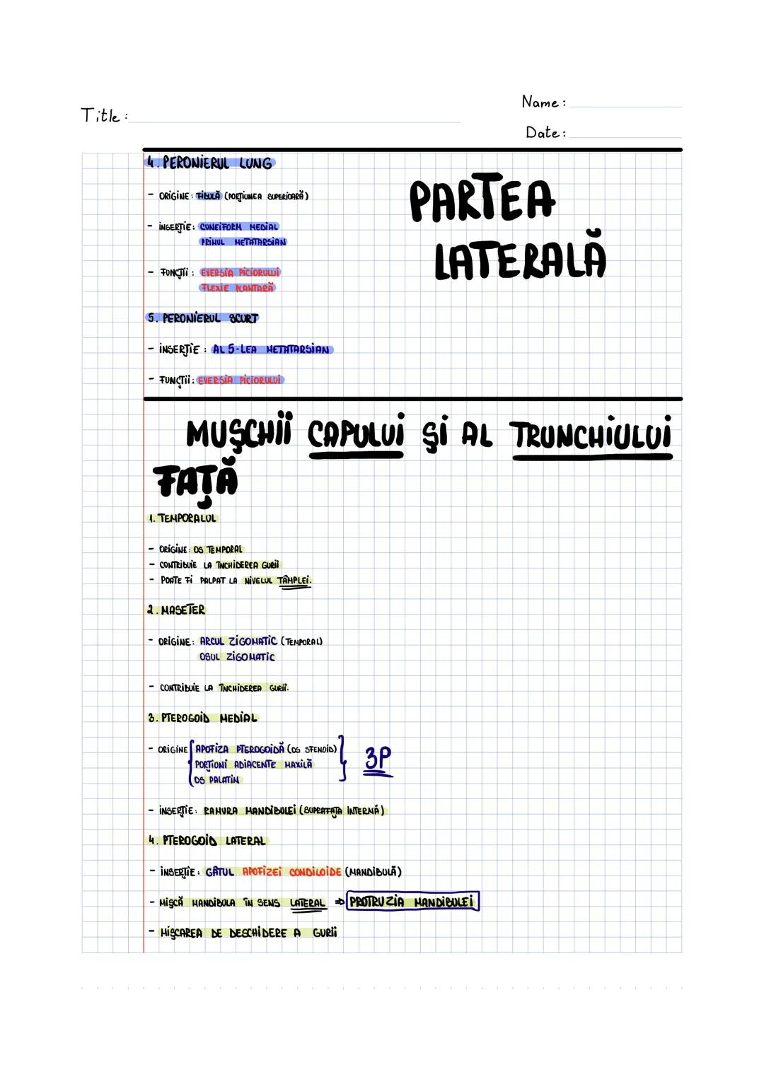 --- OCR Start ---
SISTEMUL MUSCULAR
MUSCHI UMAR
1. MUSCHIUL DINTAT ANTERIOR
- MUSCHI LAT, ZIMTAT.
- SITUAT ÎN PARTEA LATERALĂ A TORACEWI
- O