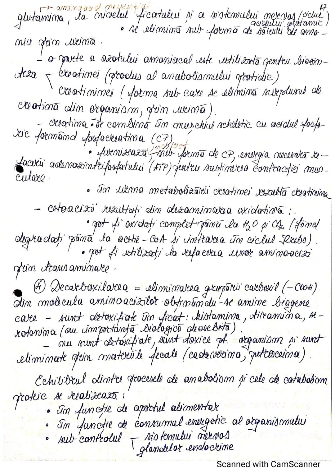 --- OCR Start ---
1.
Metabolismul
Metabolismul
- reprezintă schimbul permanent de substanțe și
energie dintre organism și mediul înconjurăto