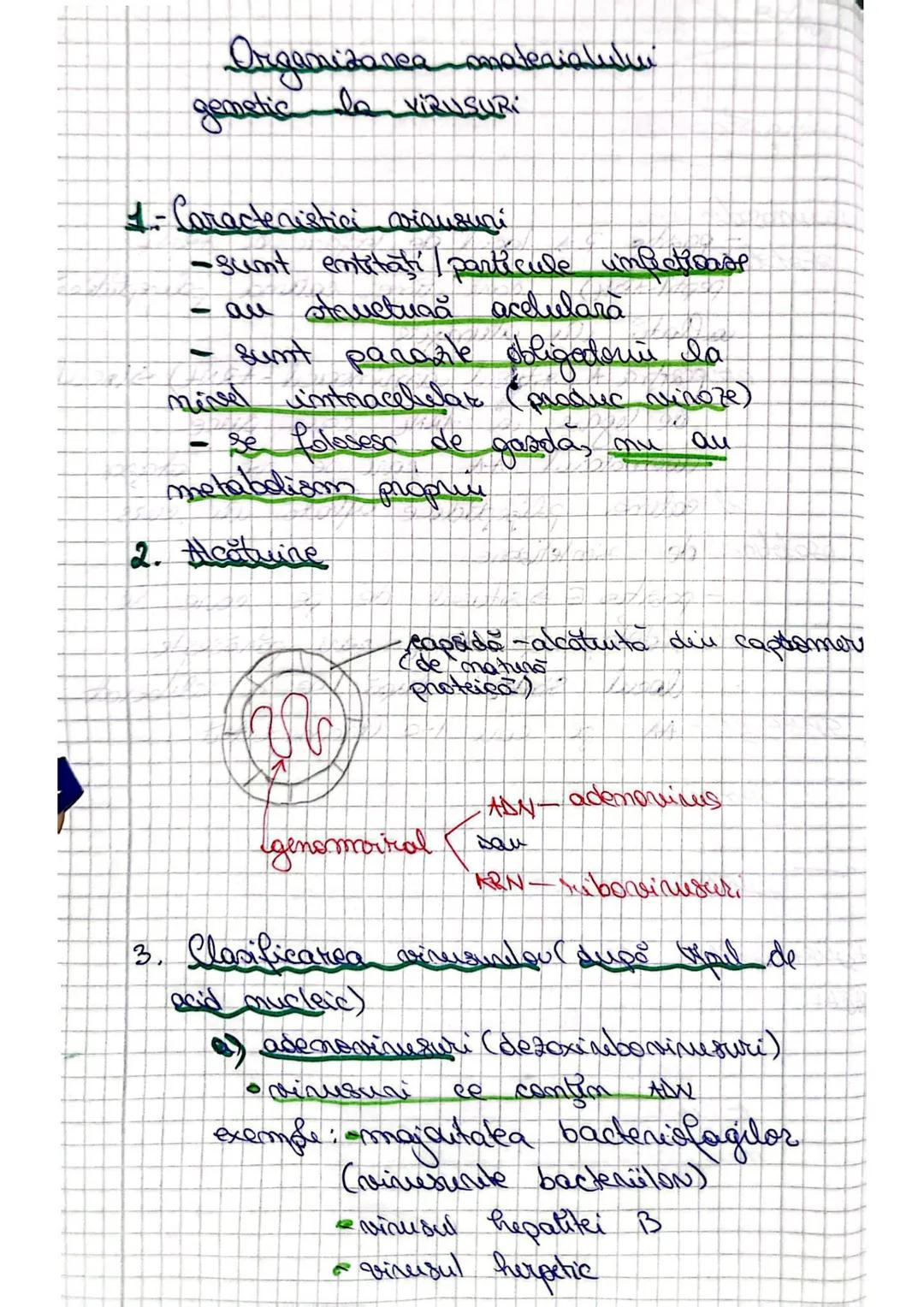 Organizarea omateaiatului
genetic la VIRUSURI
1- Caracteristici visusuni
-sunt entităţi / particule impetioase
- au structură acelulară
- s