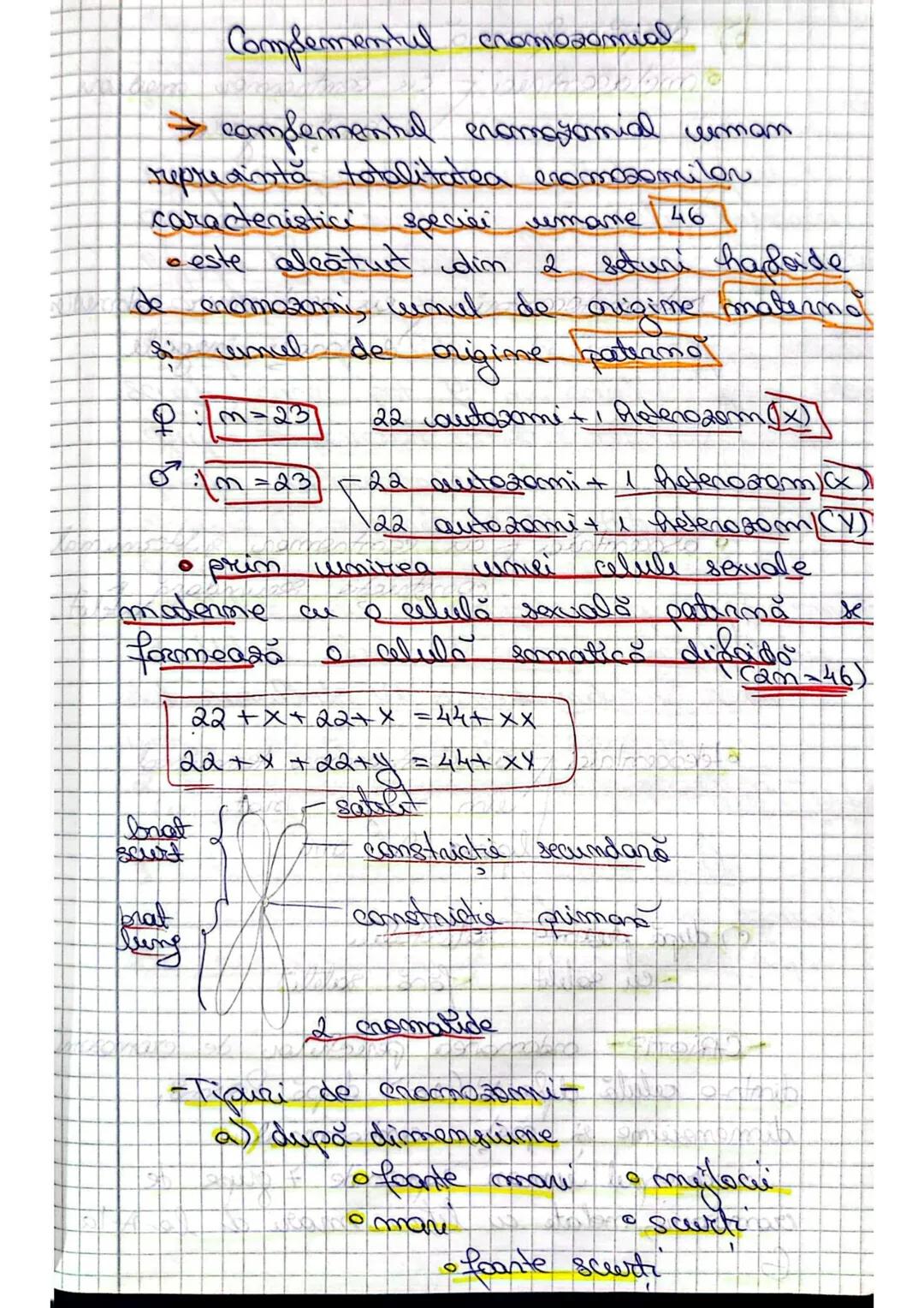 Organizarea omateaiatului
genetic la VIRUSURI
1- Caracteristici visusuni
-sunt entităţi / particule impetioase
- au structură acelulară
- s