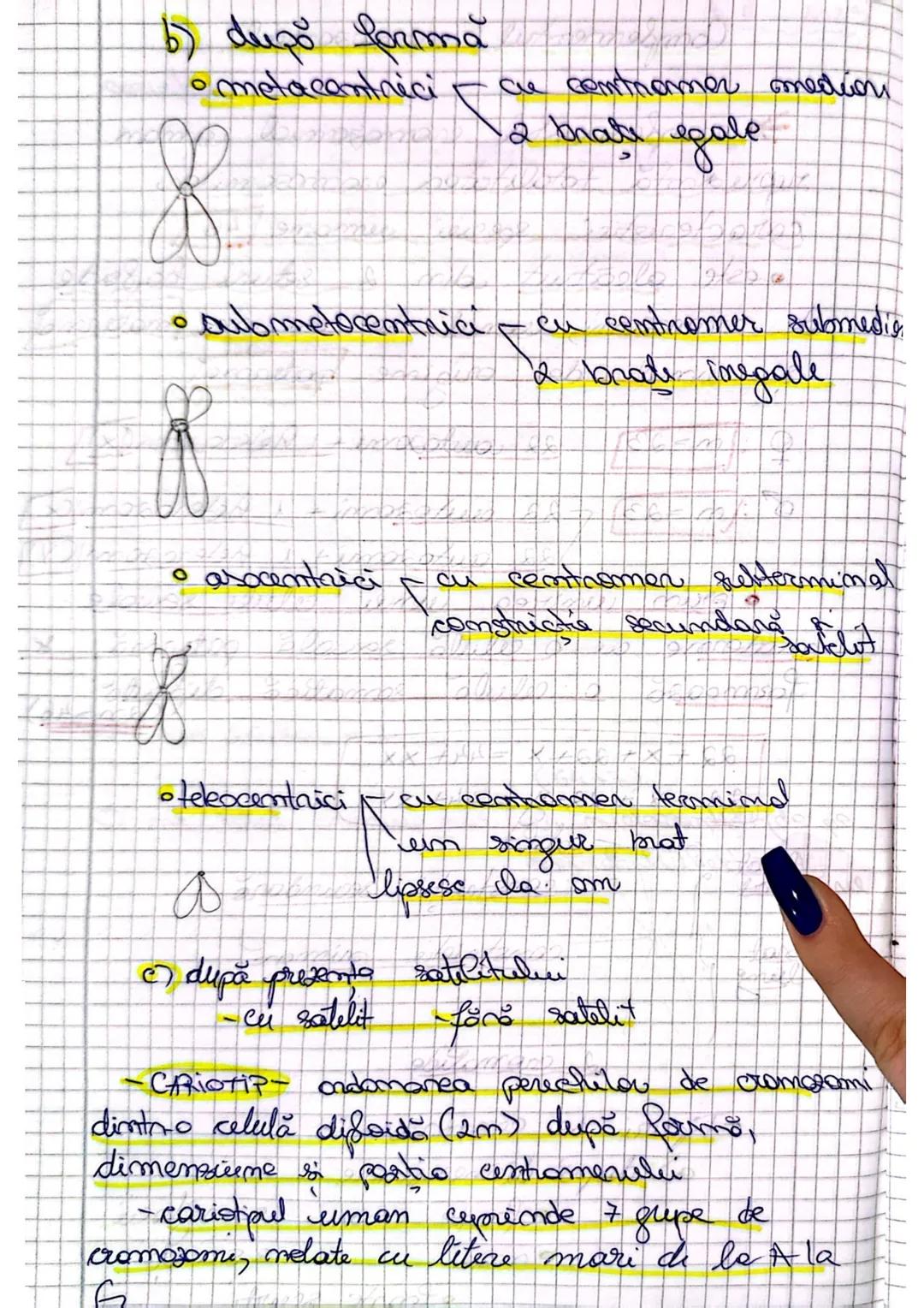 Organizarea omateaiatului
genetic la VIRUSURI
1- Caracteristici visusuni
-sunt entităţi / particule impetioase
- au structură acelulară
- s