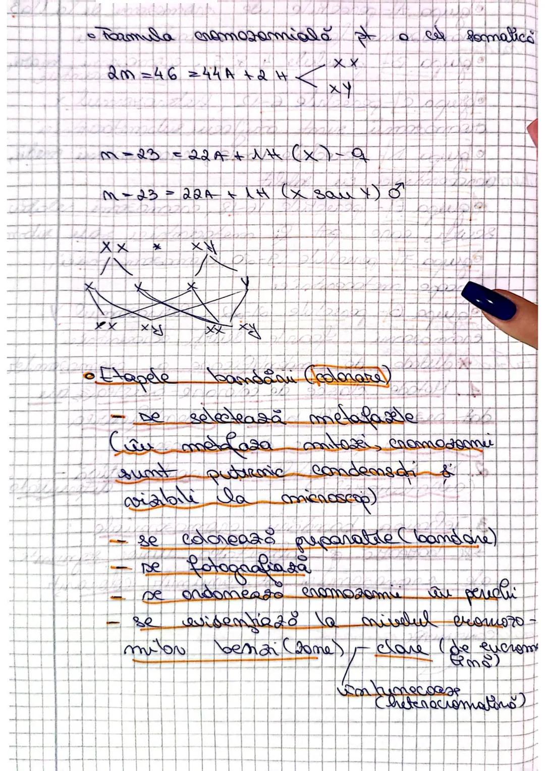 Organizarea omateaiatului
genetic la VIRUSURI
1- Caracteristici visusuni
-sunt entităţi / particule impetioase
- au structură acelulară
- s
