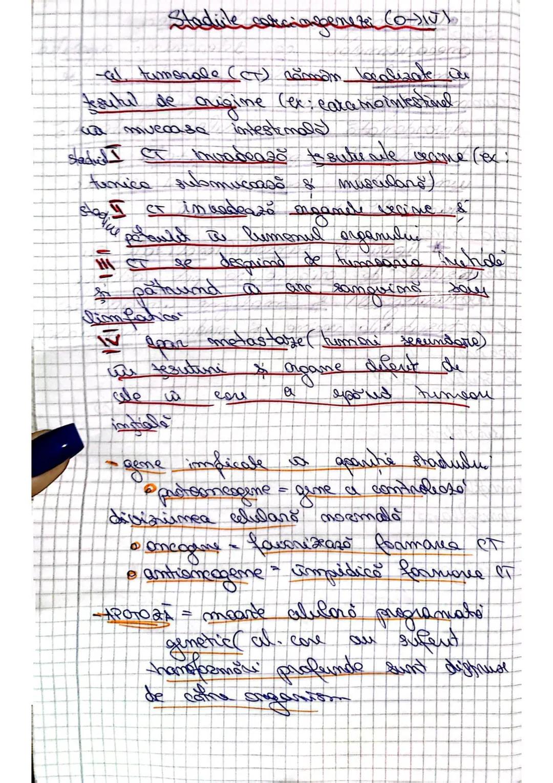 Organizarea omateaiatului
genetic la VIRUSURI
1- Caracteristici visusuni
-sunt entităţi / particule impetioase
- au structură acelulară
- s