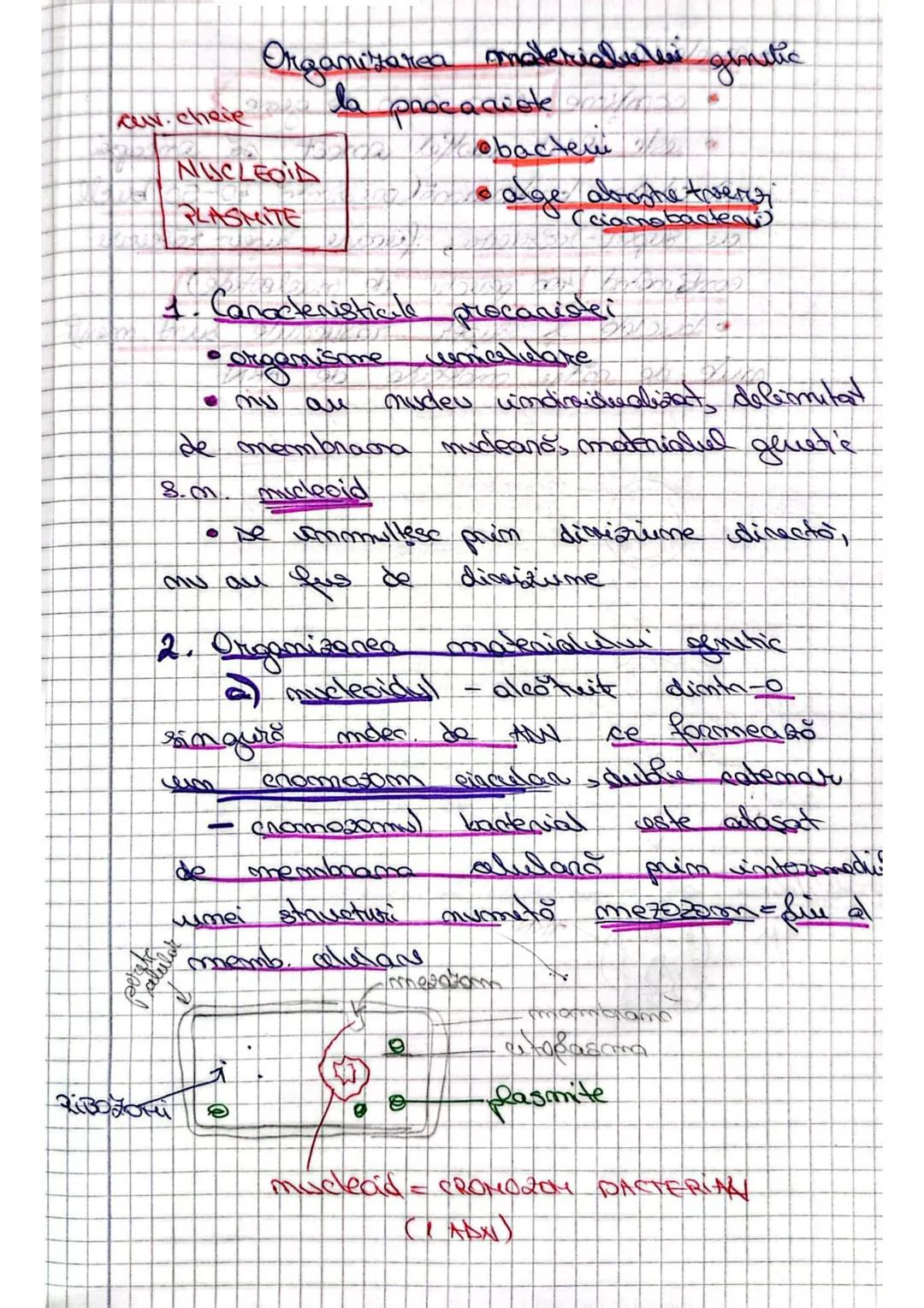 Organizarea omateaiatului
genetic la VIRUSURI
1- Caracteristici visusuni
-sunt entităţi / particule impetioase
- au structură acelulară
- s