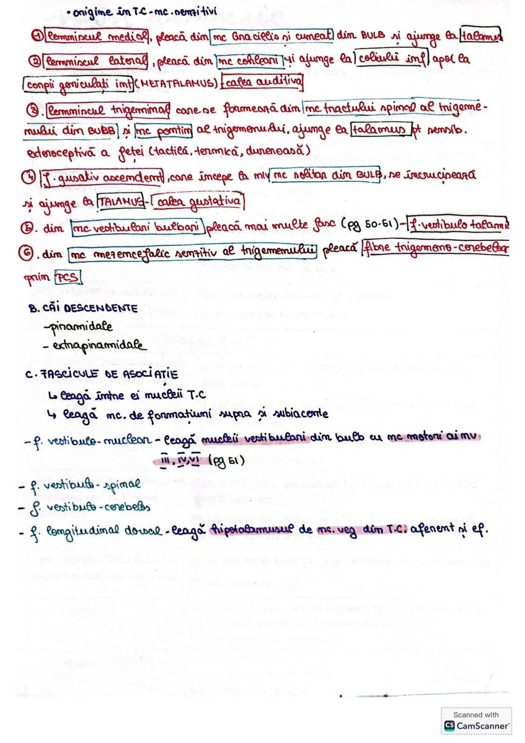 # Trunchiul cerebral
L.T.C prezintă o fată ventrală si una dorsala
Lo cuprinde trei etaje BULB (măduvă prelungită
PUNTEA LUI VAROLIO
MER