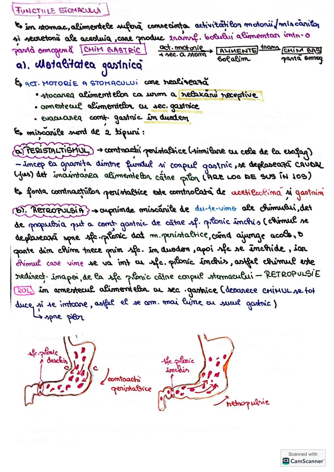 # S. digestir
ES. digestiv este alcătuit dim organe la nivelul cărora se realizează
digestia alimentelor, transf. lor în produși absorbabil