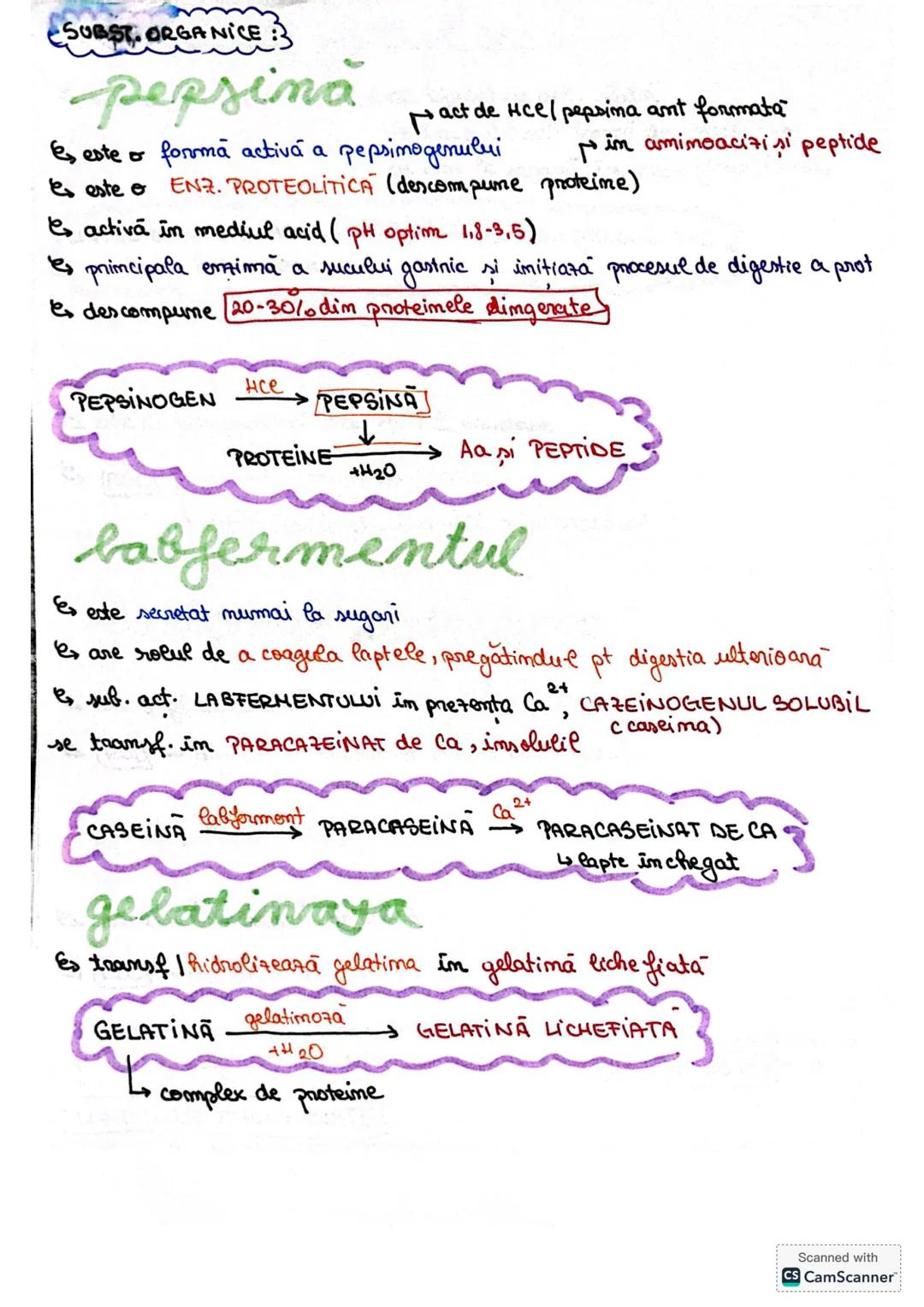 # S. digestir
ES. digestiv este alcătuit dim organe la nivelul cărora se realizează
digestia alimentelor, transf. lor în produși absorbabil