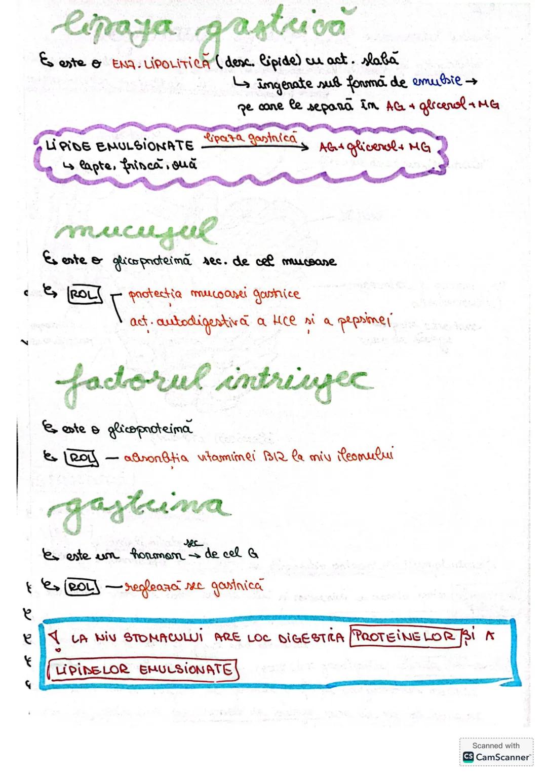 # S. digestir
ES. digestiv este alcătuit dim organe la nivelul cărora se realizează
digestia alimentelor, transf. lor în produși absorbabil