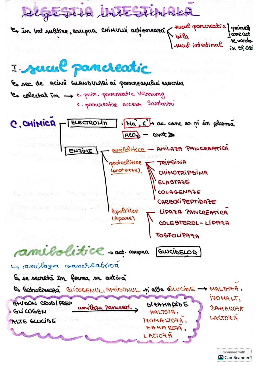 # S. digestir
ES. digestiv este alcătuit dim organe la nivelul cărora se realizează
digestia alimentelor, transf. lor în produși absorbabil