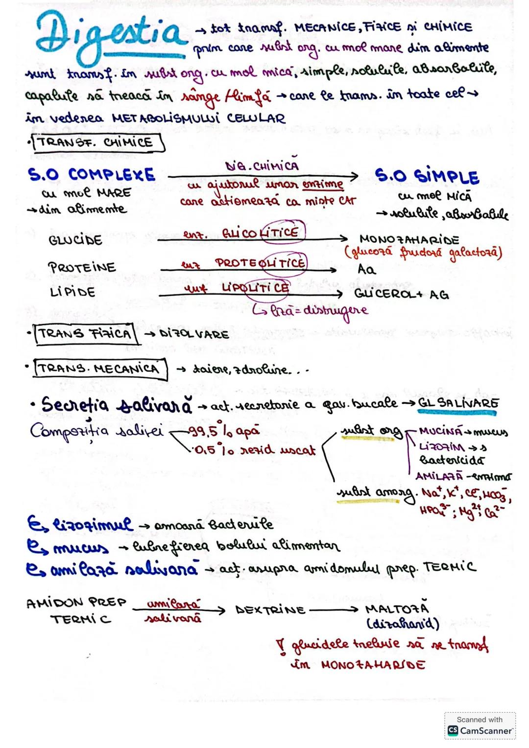 # S. digestir
ES. digestiv este alcătuit dim organe la nivelul cărora se realizează
digestia alimentelor, transf. lor în produși absorbabil