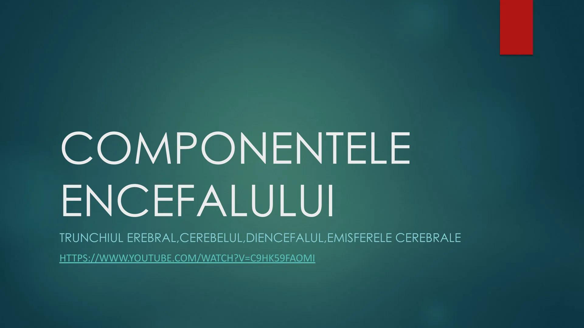 # COMPONENTELE
# ENCEFALULUI
TRUNCHIUL EREBRAL,CEREBELUL,DIENCEFALUL,EMISFERELE CEREBRALE
HTTPS://WWW.YOUTUBE.COM/WATCH?V=C9HK59FAOMI ---