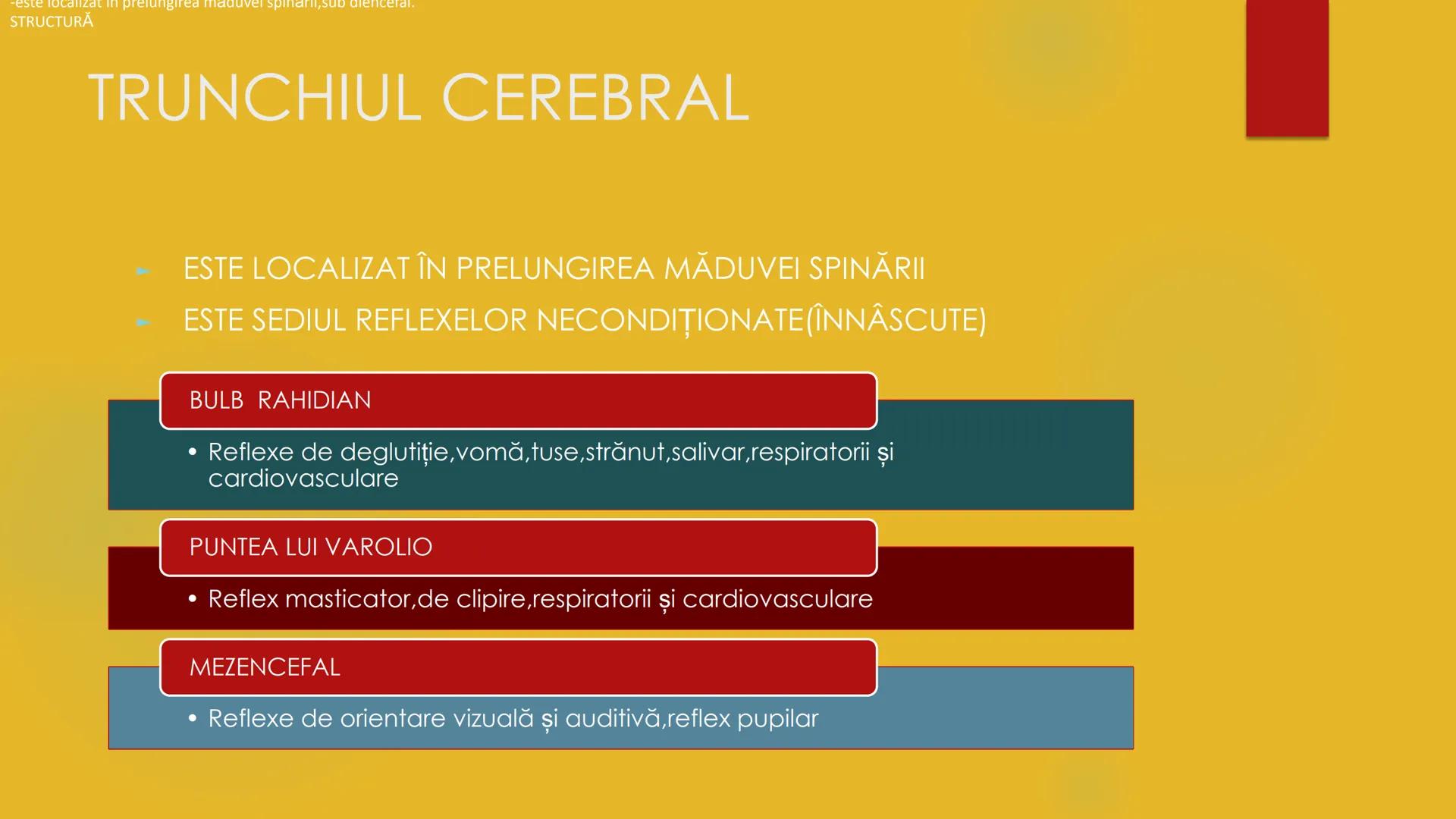 # COMPONENTELE
# ENCEFALULUI
TRUNCHIUL EREBRAL,CEREBELUL,DIENCEFALUL,EMISFERELE CEREBRALE
HTTPS://WWW.YOUTUBE.COM/WATCH?V=C9HK59FAOMI ---