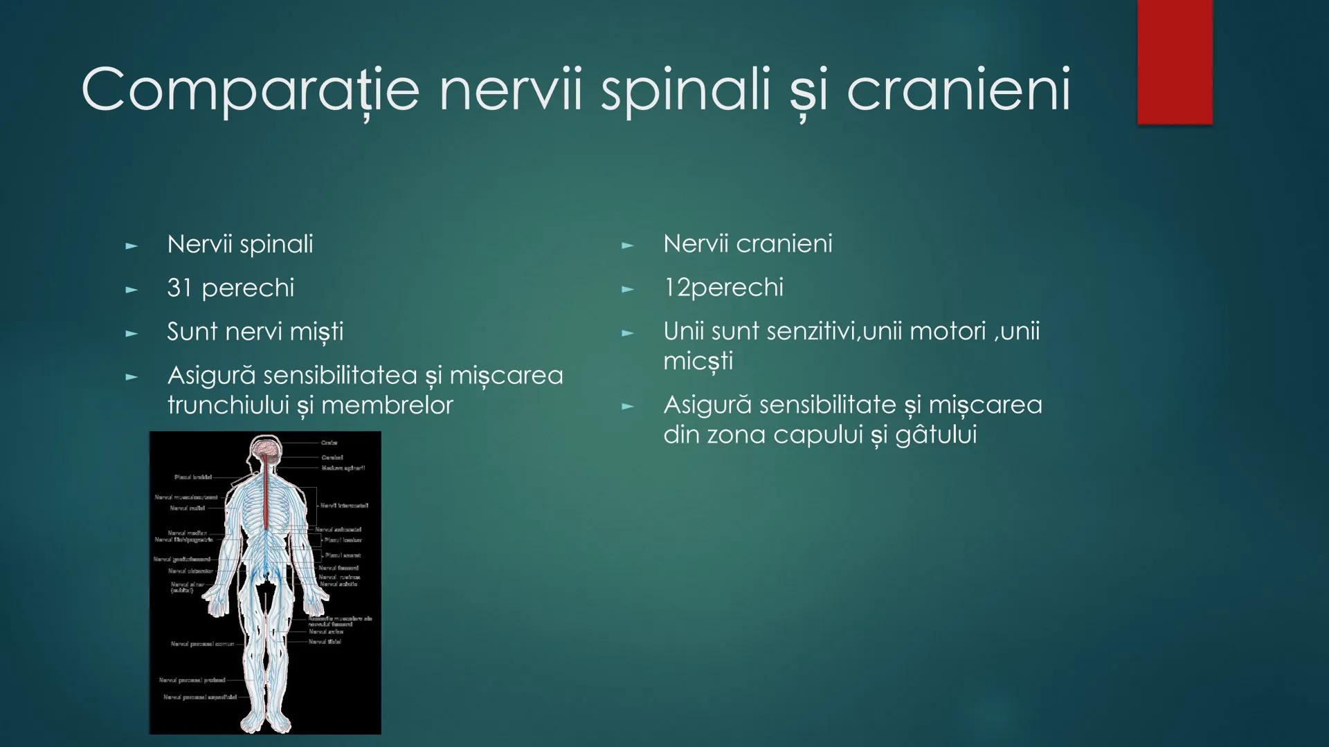 # COMPONENTELE
# ENCEFALULUI
TRUNCHIUL EREBRAL,CEREBELUL,DIENCEFALUL,EMISFERELE CEREBRALE
HTTPS://WWW.YOUTUBE.COM/WATCH?V=C9HK59FAOMI ---