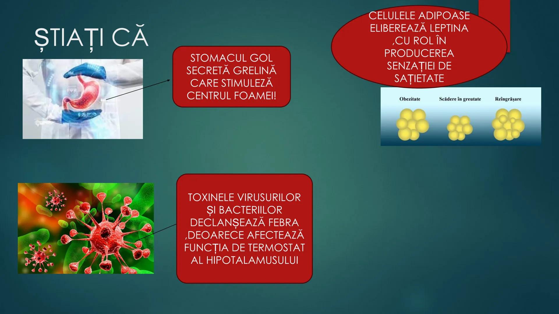 # COMPONENTELE
# ENCEFALULUI
TRUNCHIUL EREBRAL,CEREBELUL,DIENCEFALUL,EMISFERELE CEREBRALE
HTTPS://WWW.YOUTUBE.COM/WATCH?V=C9HK59FAOMI ---