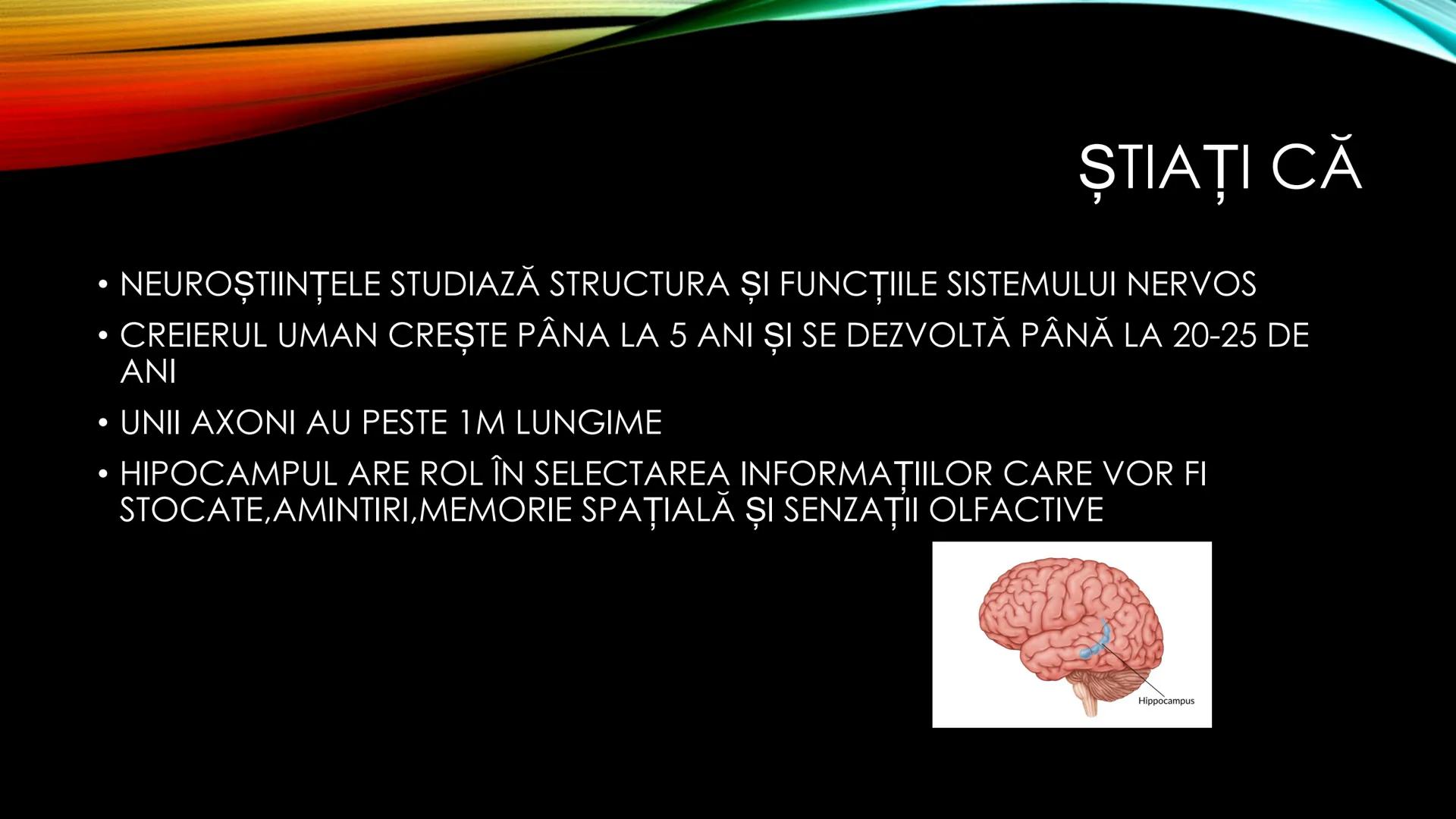 # FUNCȚIILE RELAȚIE
SISTEMUL NERVOS
SISTEMUL NERVOS CENTRAL:
neuron, sinapsa,
neurotransmițători # CLASIFICAREA SISTEMULUI NERVOS
# DIN PU