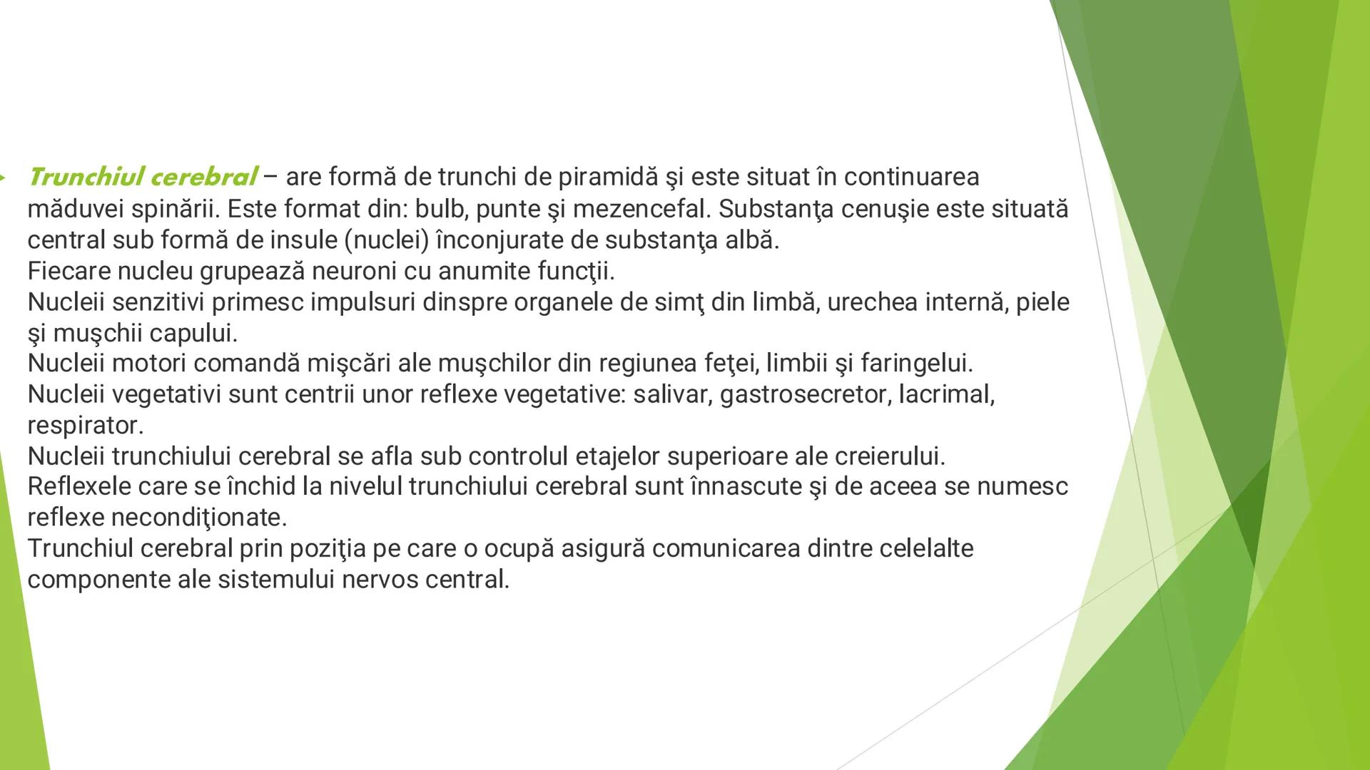 # ANATOMIA SISTEMULUI
# NERVOS LA MAMIFERE # CE ESTE SISTEMUL NERVOS?
► Sistemul nervos (latină *Systema nervosum*) al unui animal (incluzâ