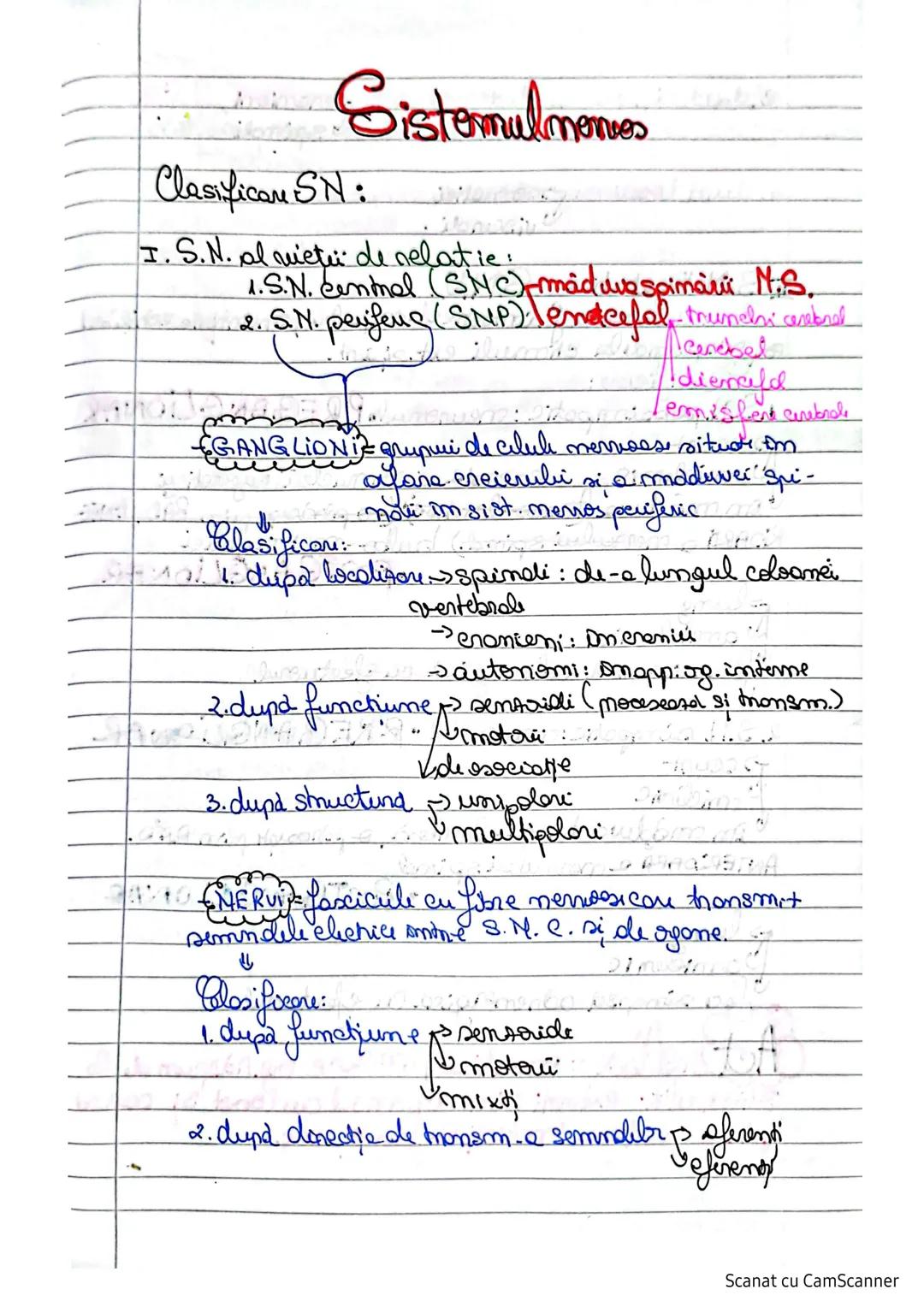 # Sistemulnervos
Clasifican SN:
I. S.N. al vieții de relație:
1.S.N. Central (SNC) maduspinarii N.S.
2. S.N. periferic (SNP) lendcefal trunc