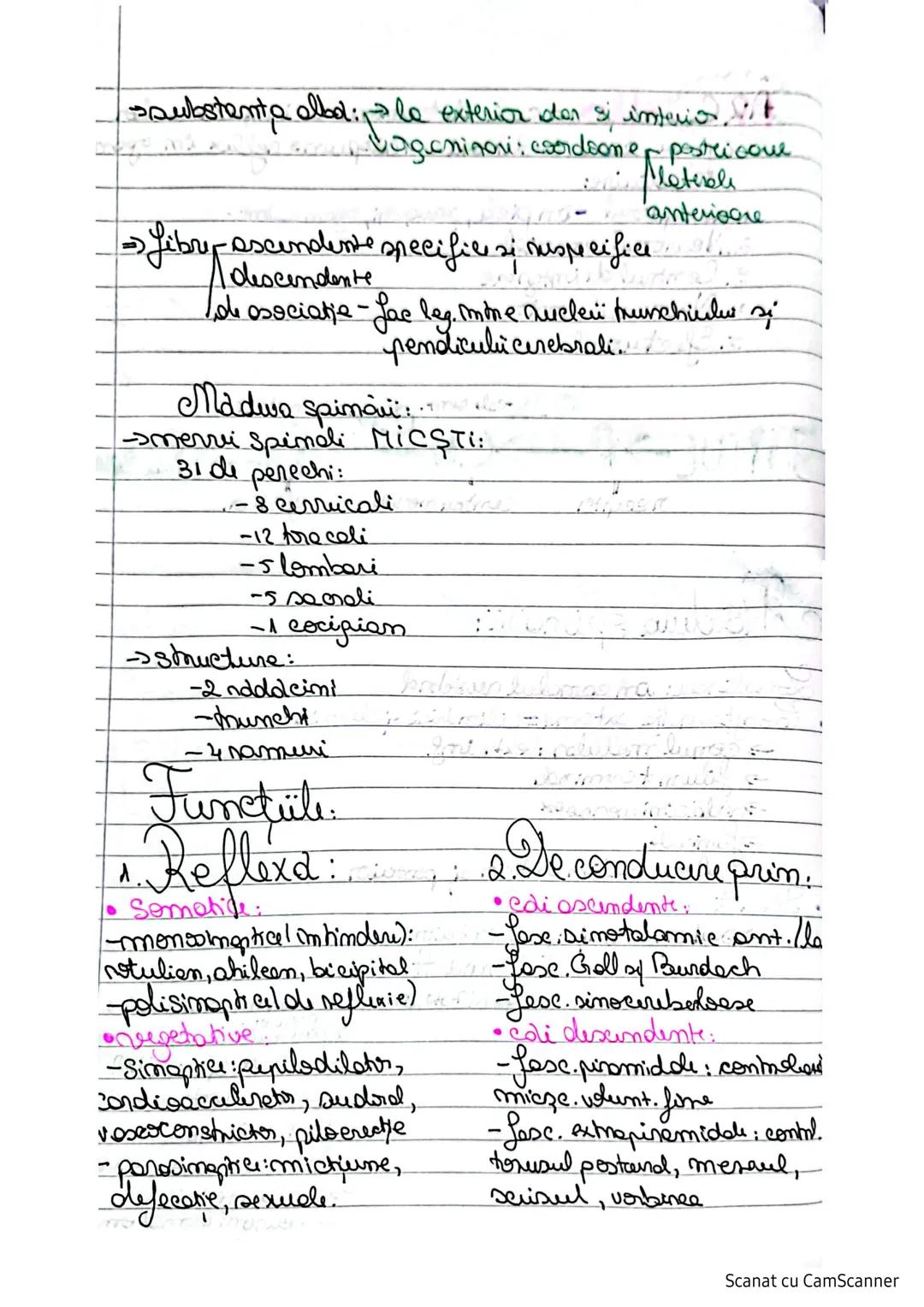 # Sistemulnervos
Clasifican SN:
I. S.N. al vieții de relație:
1.S.N. Central (SNC) maduspinarii N.S.
2. S.N. periferic (SNP) lendcefal trunc