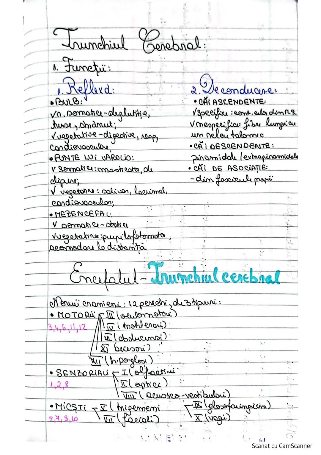 # Sistemulnervos
Clasifican SN:
I. S.N. al vieții de relație:
1.S.N. Central (SNC) maduspinarii N.S.
2. S.N. periferic (SNP) lendcefal trunc