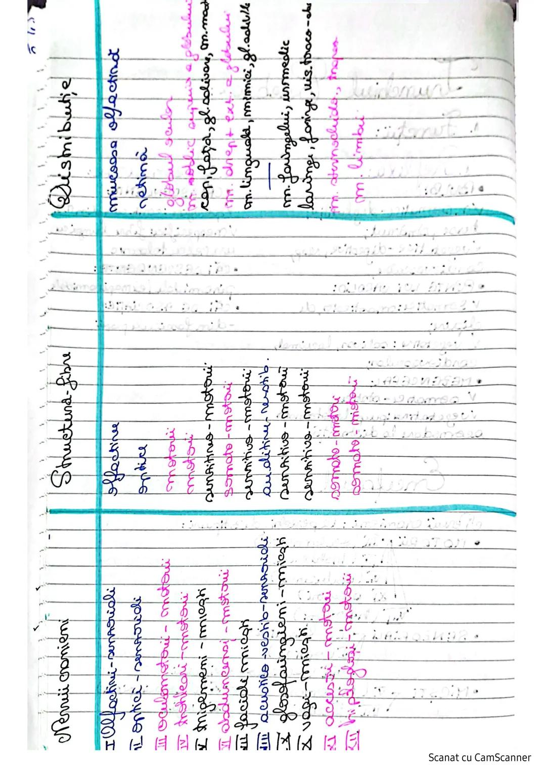 # Sistemulnervos
Clasifican SN:
I. S.N. al vieții de relație:
1.S.N. Central (SNC) maduspinarii N.S.
2. S.N. periferic (SNP) lendcefal trunc
