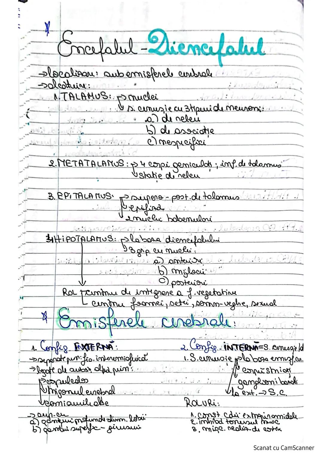 # Sistemulnervos
Clasifican SN:
I. S.N. al vieții de relație:
1.S.N. Central (SNC) maduspinarii N.S.
2. S.N. periferic (SNP) lendcefal trunc