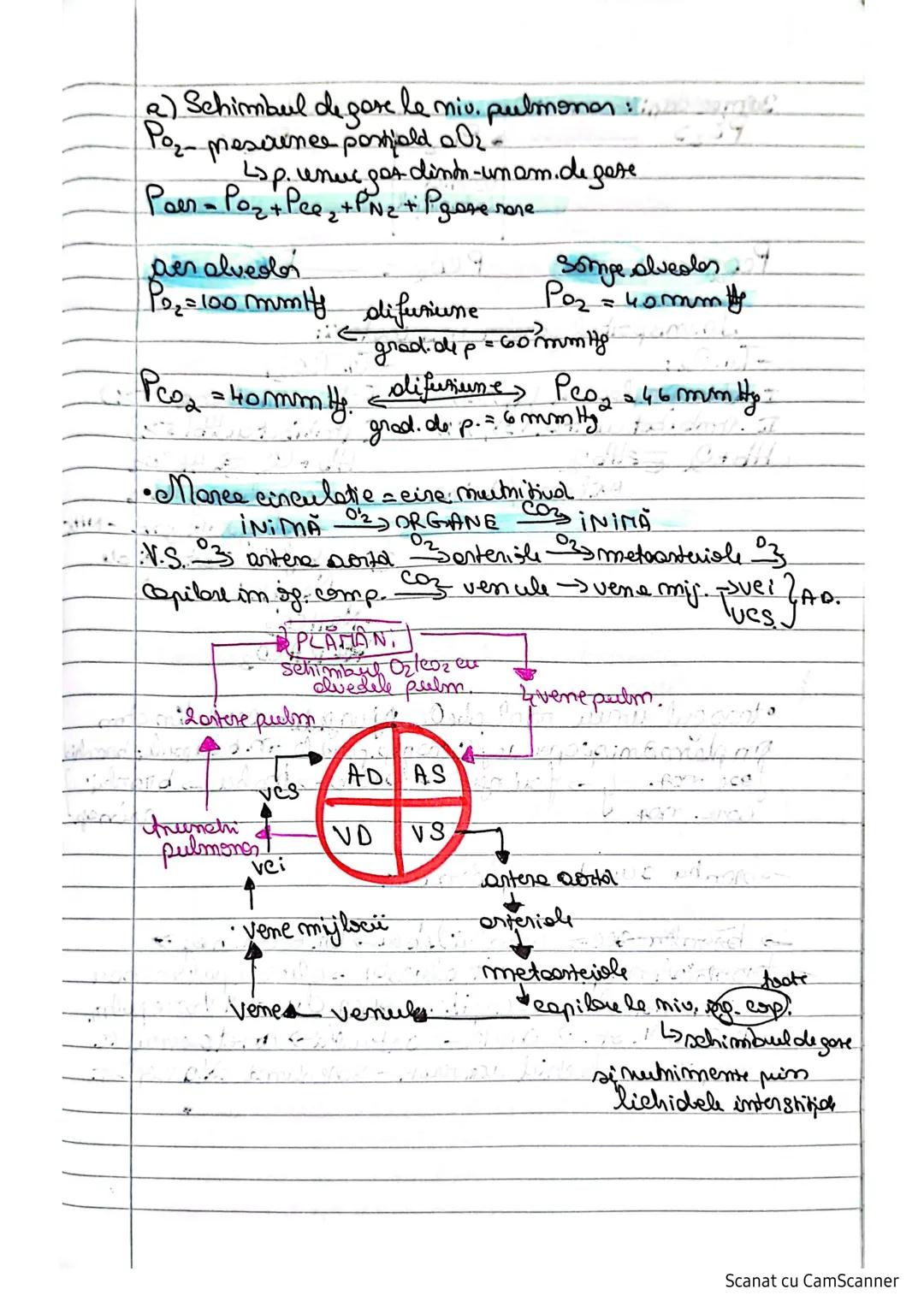 # Sistemul respinator
RESPIRATIA=p. metodă amblmit la unele micioorgan
plante, animale si om, în cursul căreia se practică:
→oxireduceri cel