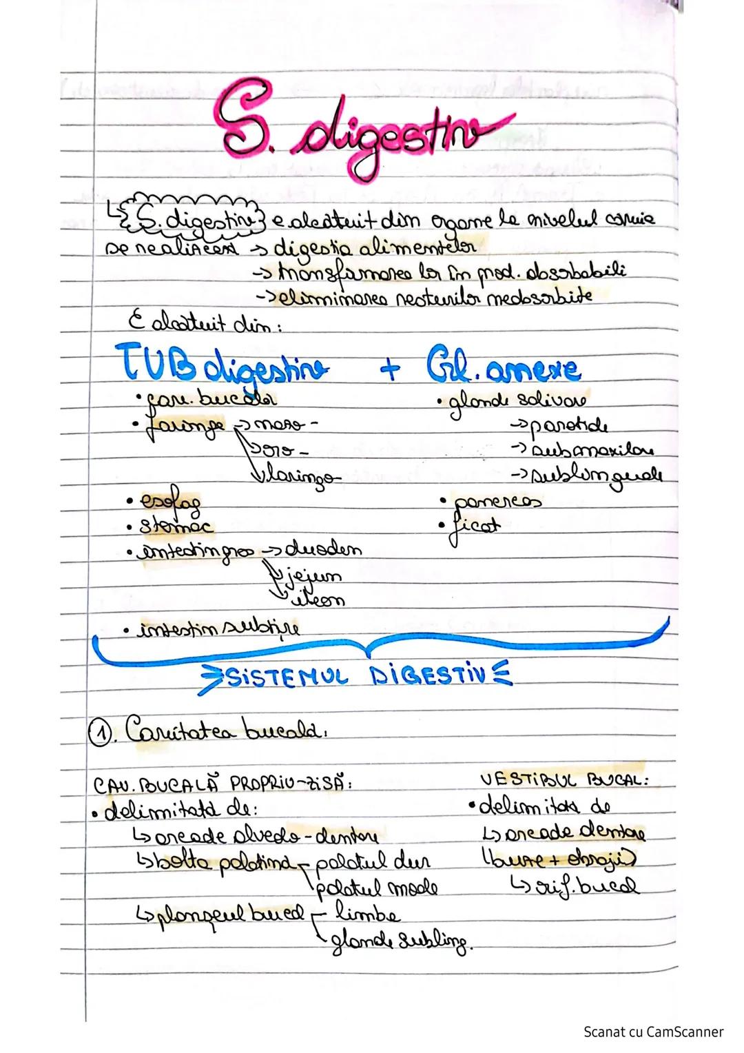 # S. digestivo
Organe le nivelul caruia
Edigestive e aleatuit din
se nealincess digestia alimentelor
-> transformarea lor în mod. dosababil