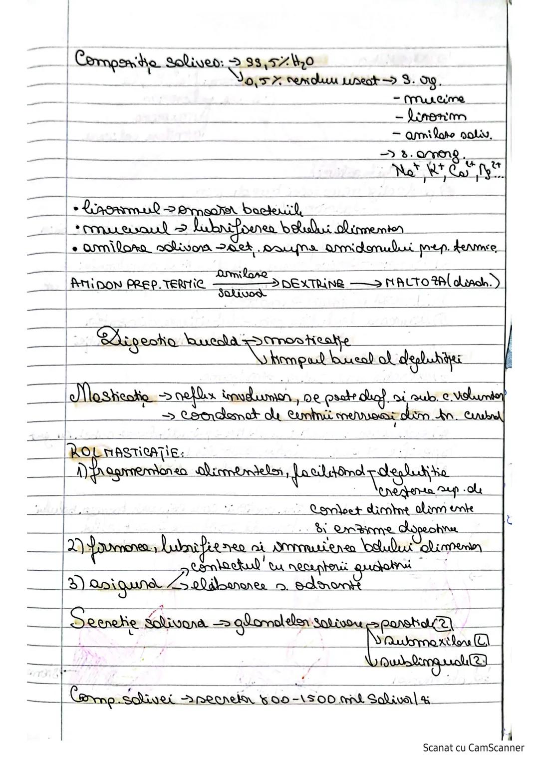 # S. digestivo
Organe le nivelul caruia
Edigestive e aleatuit din
se nealincess digestia alimentelor
-> transformarea lor în mod. dosababil