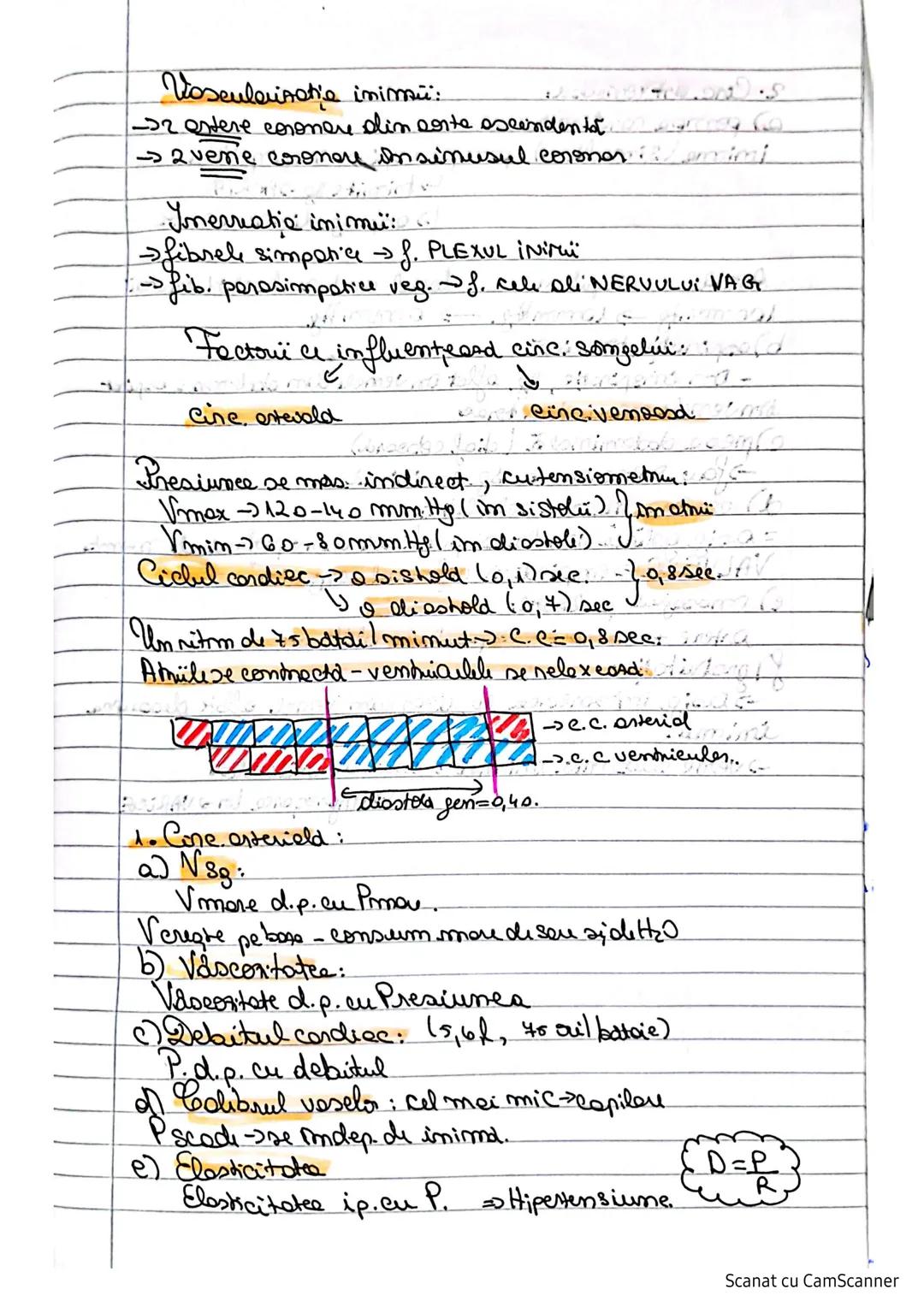 # Inima
- om care toracica, Amine cu 2 plamani
=Spatiu MEDIASTIN
-found: conica, disp. oblid, en uf. sme diafragm.
-se afla imm-un sacules